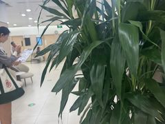 -慈铭体检(洋桥分院)
