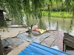 -嬉乐湾休闲旅游区