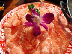 -楠火锅(仁恒梦中心店)