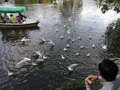 -昆明动物园