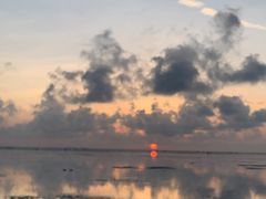 -北海金海湾红树林生态旅游区