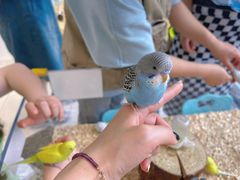 -怪兽屋·羊驼·猫咖·狗咖(俊华广场店)