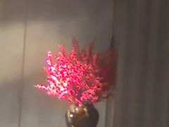 -金成潮菜博物馆(海珠湿地店)