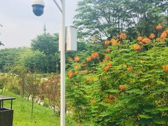 -东莞植物园