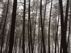 -硗碛藏寨·神木垒景区