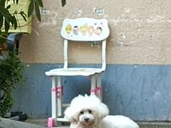 -中海环宇荟