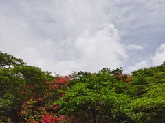 -大围山国家森林公园