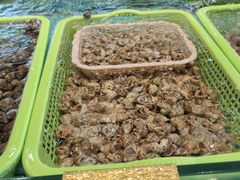 -天然居·漳港海鲜·海景餐厅(南澳总店)