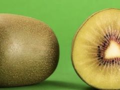 珍珠拿铁咖啡-CoCo都可(新城吾悦广场店)