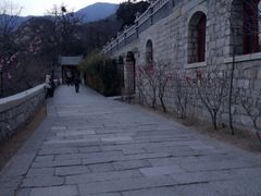 iphone_upload_pic-龙泉寺