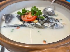 -全乐鱼馆·淳牌有机鱼直营店