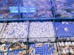 -青蓬蒸汽海鲜·深圳老字号·团建聚会(壹方城店)
