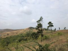 -恋山坝上草原
