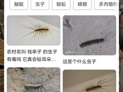 -哈尔滨北方森林动物园