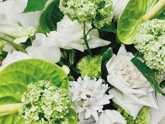 -花生FM_FLOWERS