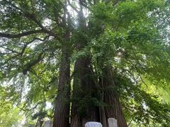 -潭柘寺景区