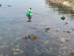 -悦海公园