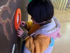 -苏州青少年科技馆