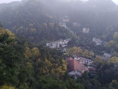 -大金鹰园