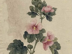 -六出私塾LiuChu•成人美术书法系统课程专业画室(熊婆婆的花园店)