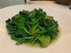 清炒土菠菜-同庆楼(大钟寺店)