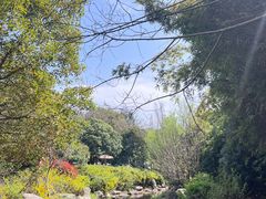 -白马涧龙池景区