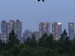 -西湖风景区-江洋畈生态公园