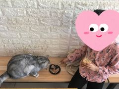 -平行世界·猫咖(首经贸店)