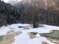 -黄龙山原始森林景区