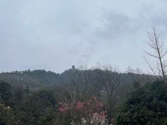 -青城山
