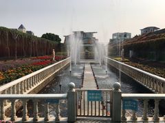 -百万葵园