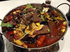 -巢香扣肉馆