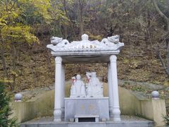 -金龙寺国家森林公园