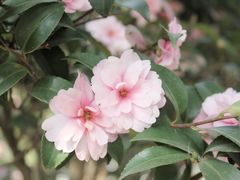 -艾溪湖湿地公园