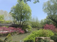 -上海醉白池公园