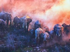 -罗红摄影艺术馆