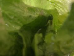 -重庆德庄火锅(映月湖环宇城店)