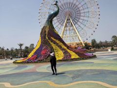 -七彩云南欢乐世界