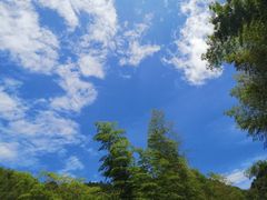 -千泷沟大瀑布旅游区