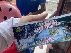 -将军关探险漂流