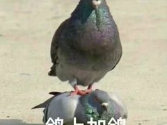 -星巴克(西安曲江银泰店)