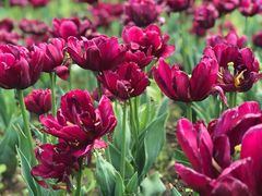 -长春公园(普阳街道)