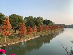 -上海海湾国家森林公园