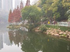 -重庆彩云湖湿地公园