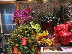 -FEI FEI FLOWER鲜花店·气球派对·宝宝宴布置(虹口德必运动Loft店)
