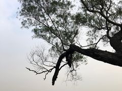 -威远炮台