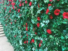 -UNI UNI(环亚凯瑟琳店)