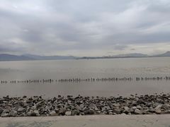 -深圳湾公园(南山区)
