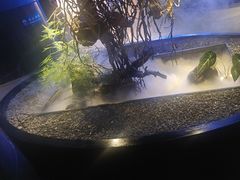 -1718海鲜姿造(苏宁宴请臻选店)
