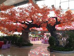 大堂-君临七星生态酒店